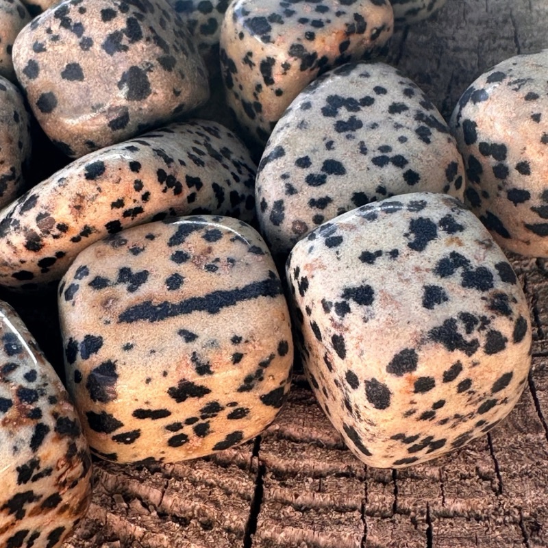 Dalmatiner Jaspis lommesten
