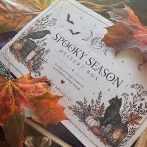Spooky Season Mystery Box