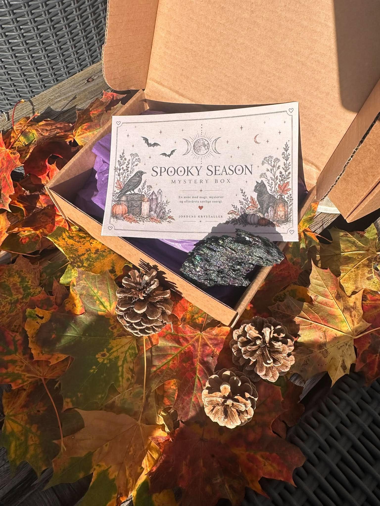 Spooky Season Mystery Box - Billede 3