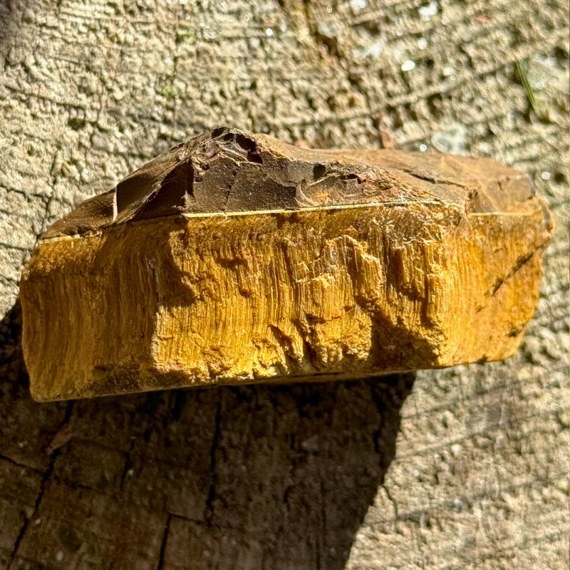 Nærbillede af rå Tigerøje med gyldenbrune striber og naturlig struktur